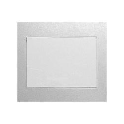 Bio-Rad Short plate, for Mini-PROTEAN® 3 & Tet